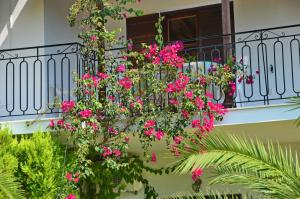 Villa POLYTIMI Skiathos Greece