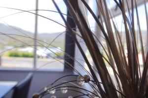 The Mountain Riveting House at Risdon vale