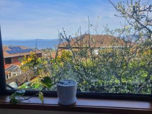 Serenity Retreat with 10 Min to City and Airport