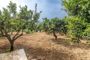 Citrea Stylish House with Garden near Beach