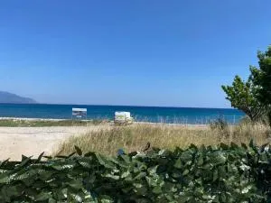 Heras house - 伊莱恩