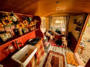 Holt Woodland Glamping - Shepherd Huts & Yurts Dog Friendly