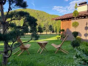 садиба В ГОРАХ у Аліни - Golubinoye