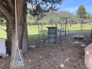 Cabanon provencal Verdon
