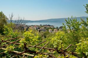 Porto Lastva Apartments