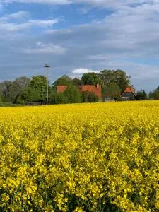 Ferienwohnung Segeln und Angeln - Ulrichshusen