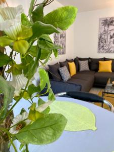 B&B / Chambres d'hotes Chateau de la Prade : photos des chambres