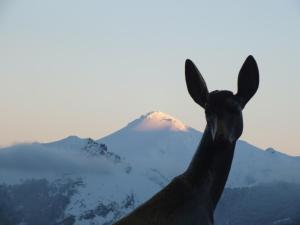 Posada Rural Bistruey