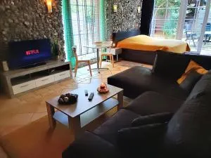 Kom thuis in deze charmante loft - Nuth