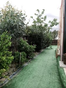 Podere Kiri Dome Experience img14