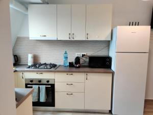 Dusan Residence Otopeni 15