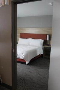 One-Bedroom Suite room in Candlewood Suites - Nashville South an IHG Hotel