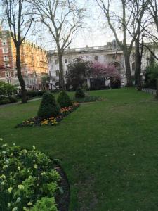 Superior Apartment room in Walk to Notting Hill /Paddington 1 B/R with patio
