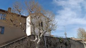 OlivierCosyLinge hôtelierFibreCalme