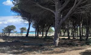 Resort Abbaia Ba img88