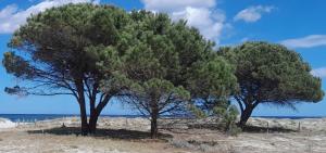 Resort Abbaia Ba img86