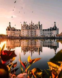 Appartements Le Cocon des Chateaux de la Loire : photos des chambres