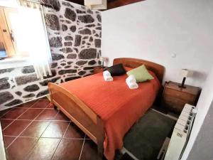 Charming villa in Segões with a private pool