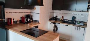 Appartements La Marmotte des Memises : photos des chambres