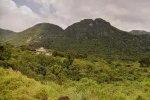 Thumpers Cottage - Ittekanda