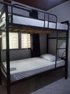 Nest Haven Homestay-Hostel