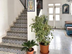 Spacious villa with private pool in Djerba