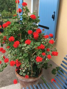 B&B / Chambres d'hotes La Mesange bleue : photos des chambres
