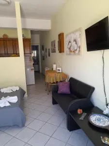 SummerAndros Pefkakia - Livádhia