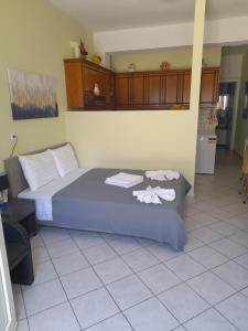 SummerAndros Pefkakia