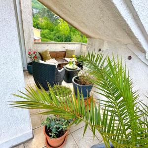 Studio apartman Gardenia