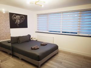 Stylish Studio minutes away from Wembley