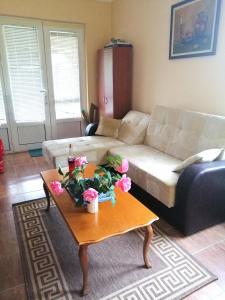 Apartment Dobra vila