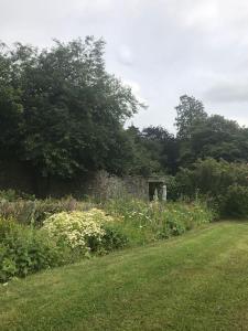 The Courtyard at Moone