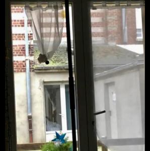 Appartements Ma cour Berck/mer : photos des chambres