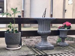 Appartements Ma cour Berck/mer : photos des chambres