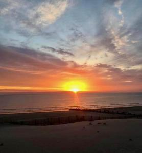 Appartements Ma cour Berck/mer : photos des chambres