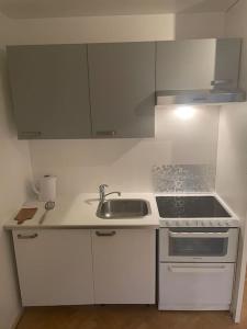 Cosy 45m2 private apartment Paris Montparnasse