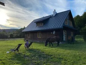 Nad Mikowym Potokiem - wydzielona część drewnianego domu z osobnym wejściem i ogrodem - Mików