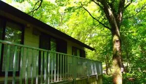 Hatori Lakeside Auto Campsite - Vacation STAY 60284v - Tenei
