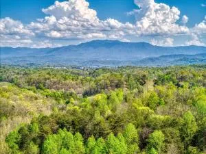 A Bliss - Get 1089 of FREE attraction tickets for each paid day, Dollywood and more! - New Era