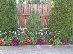 Pokoje Gościnne ADA