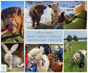 Kaszuby, agroturystyka z alpakami- pokój z łazienką