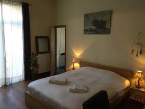 Breathtaking Views in heart of Ghent