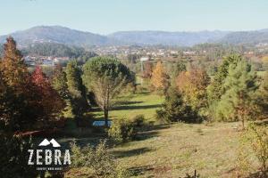 Zebra Country Wood House