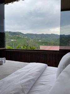 AHO 103 dağ manzaralı oda