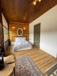 AHO 103 dağ manzaralı oda