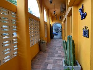 Casa del Puerto by Rocky Host