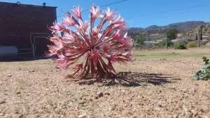 Megs Accommodation - Soebatsfontein