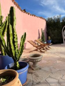 Appartements Appartement dans villa, parking, acces piscine : photos des chambres