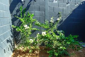 Modern Townhouse AC Wi-Fi full equipped Private